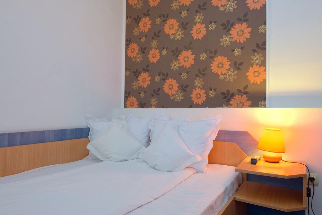 Pensiunea Leo 3* Brașov