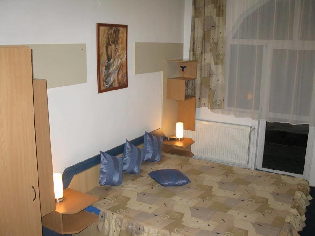 Pensiunea Leo Pensiune 3*